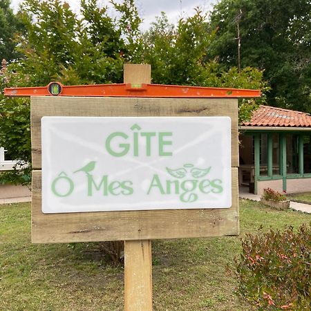 Villa 8 Personnes O Mes Anges Saint-Julien-en-Born Exteriör bild